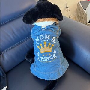 Blue Dog Jacket with Crown Design